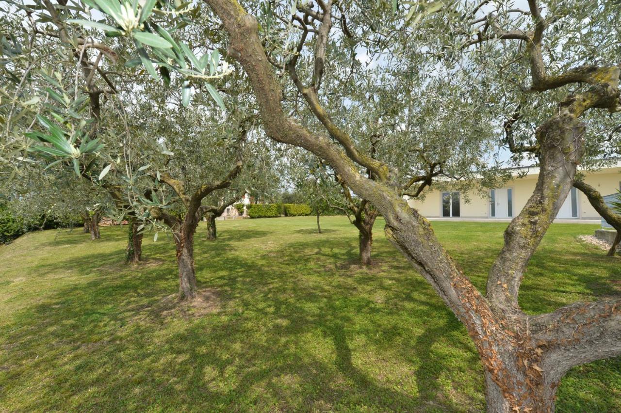 Albergo Panoramica Bardolino Extérieur photo